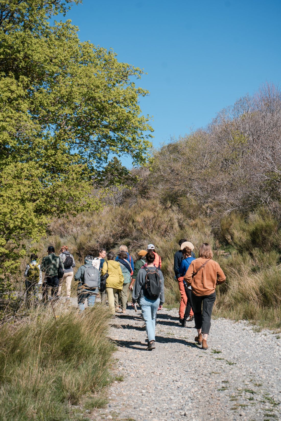 Un groupe de participant·es marche sur un chemin de montagne pendant Comme un arbre